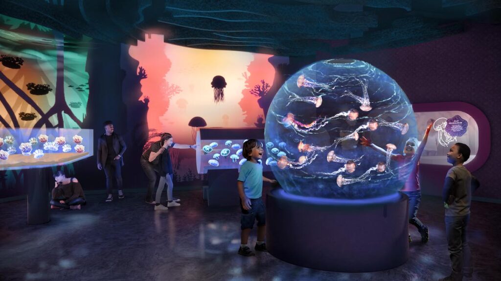 SeaWorld San Diego: Jewels Of The Sea: A Jellyfish Experience
