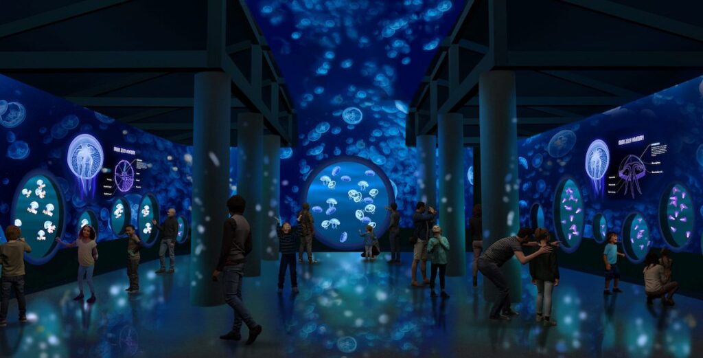 SeaWorld San Diego: Jewels Of The Sea: A Jellyfish Experience