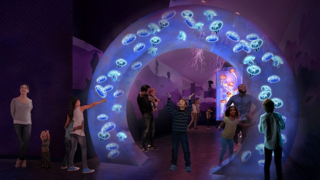 SeaWorld San Diego: Jewels Of The Sea: A Jellyfish Experience