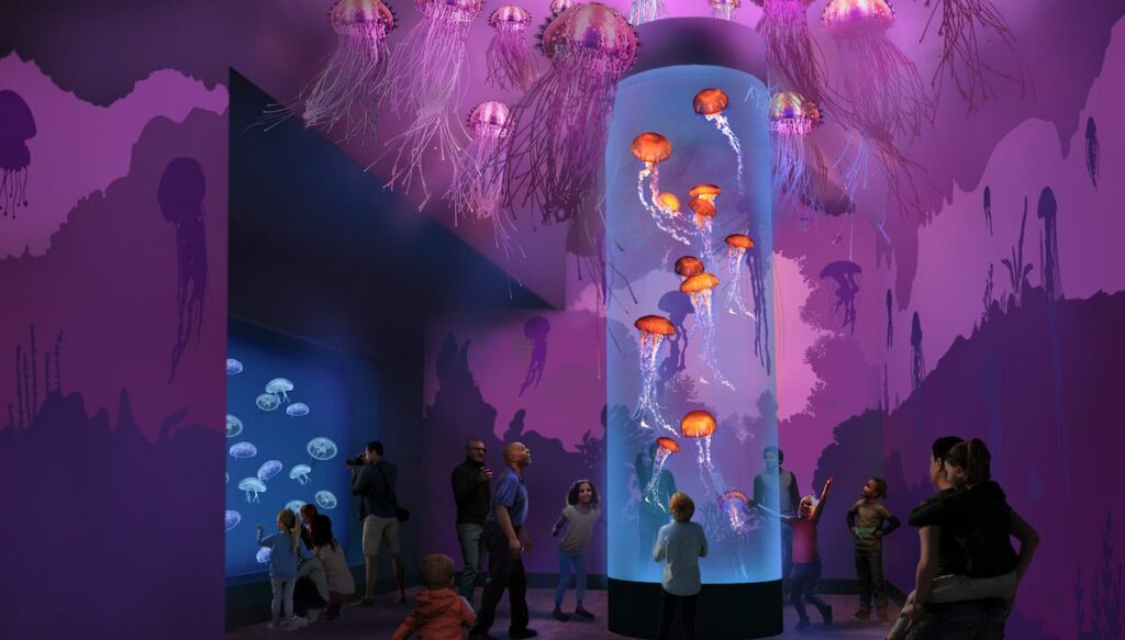 SeaWorld San Diego: Jewels Of The Sea: A Jellyfish Experience