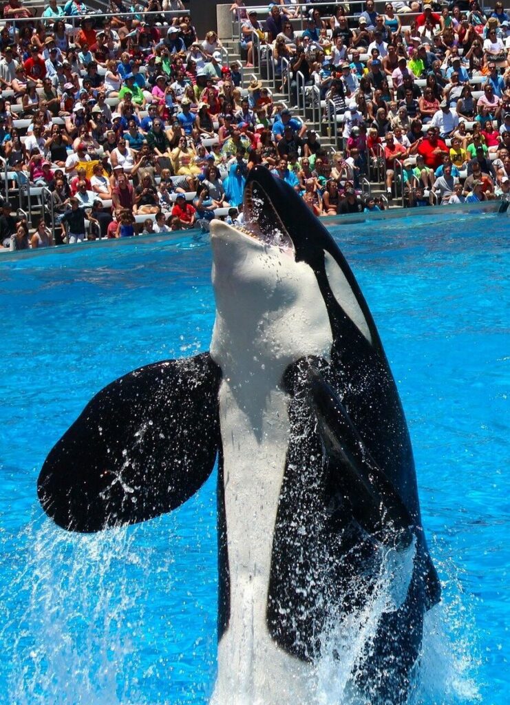 Marineland Côte D'Azur: Schließung