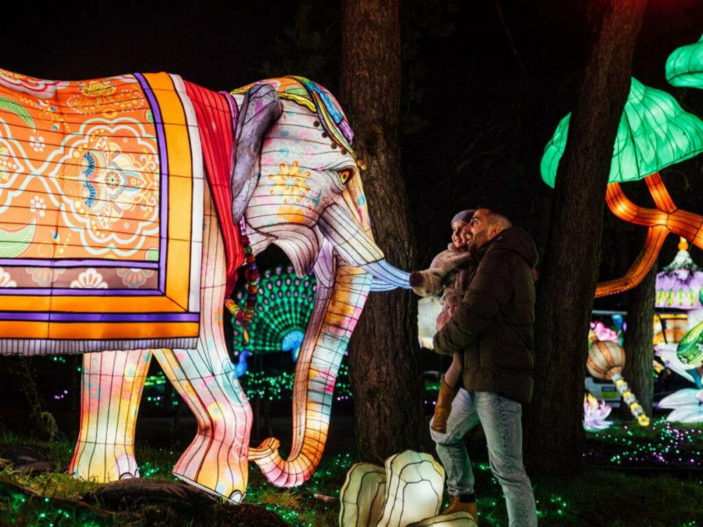 Beekse Bergen: Winterhighlights im Safaripark & Speelland