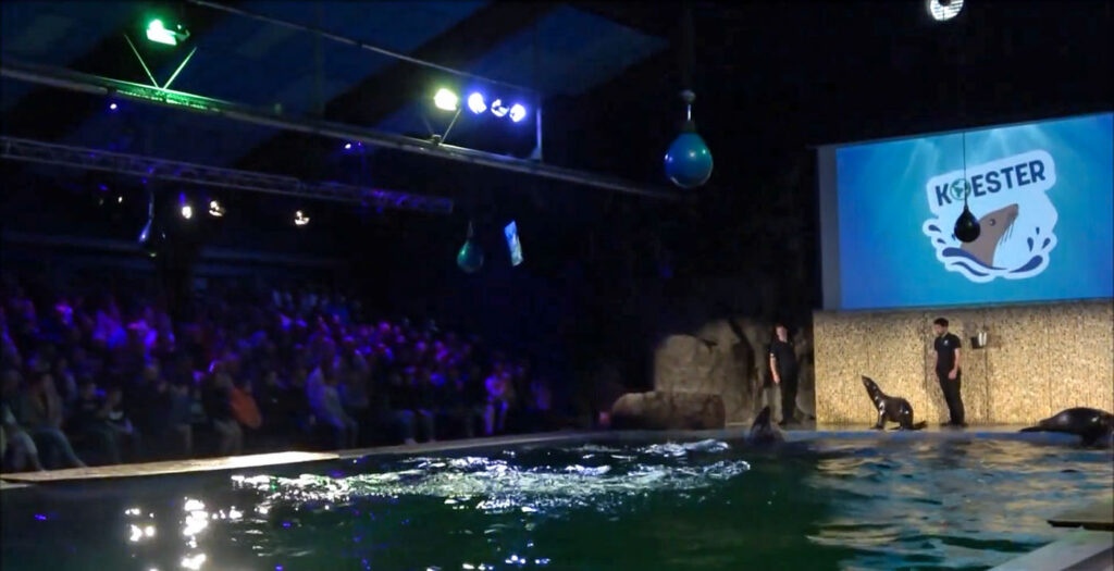 Ouwehands Dierenpark: Seelöwen-Show