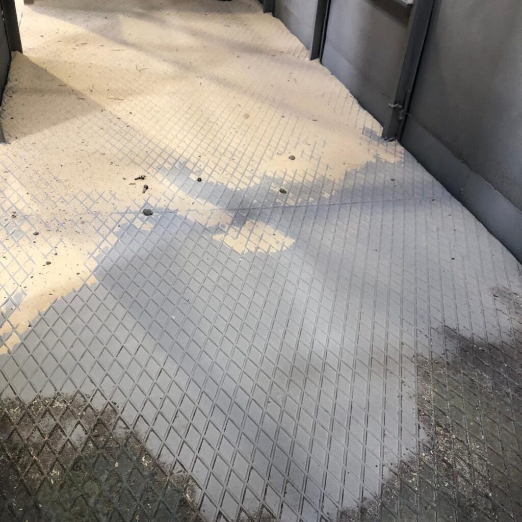 Safariland Stukenbrock: Affenexpress
