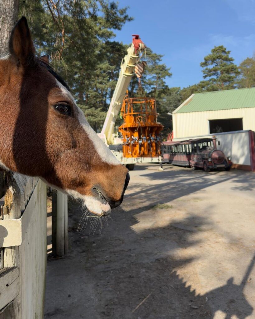Safariland Stukenbrock: Flying Dumbo