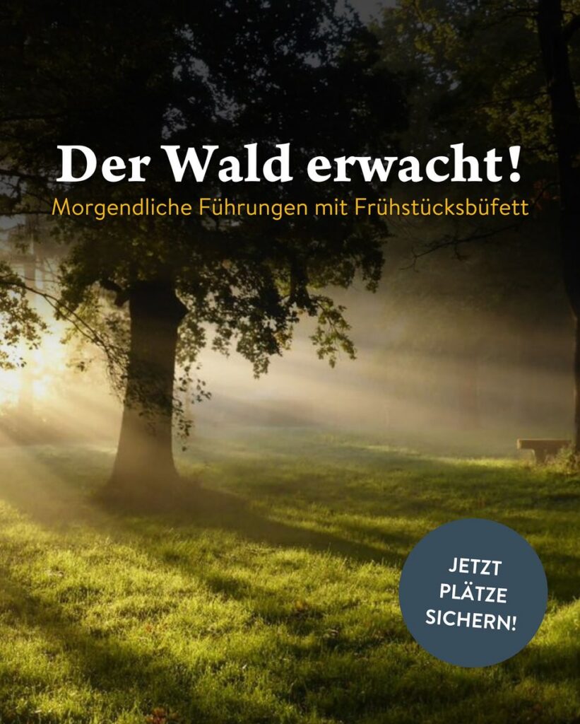 Tierpark Sababurg: Der Wald erwacht...