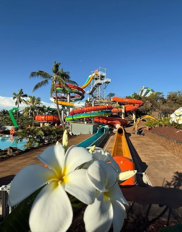 Wet'n'Wild Hawaii: Volcanic Wedgeee