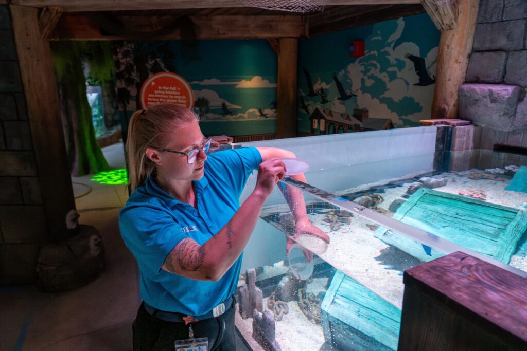 LEGOLAND® Florida: Sea Life