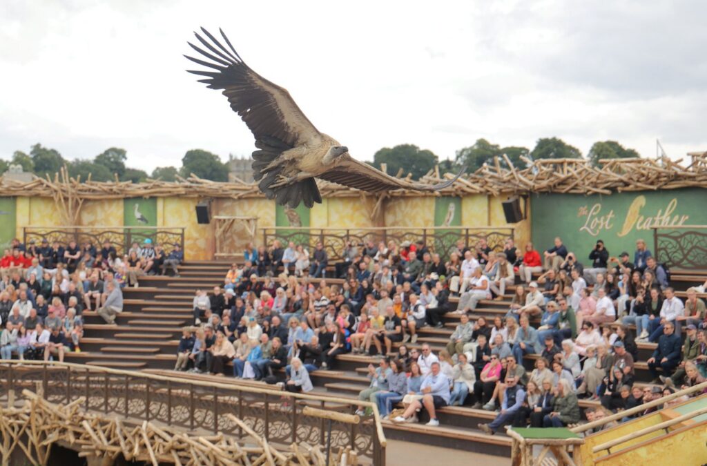 Kynren - The Storied Lands: Neuer Park