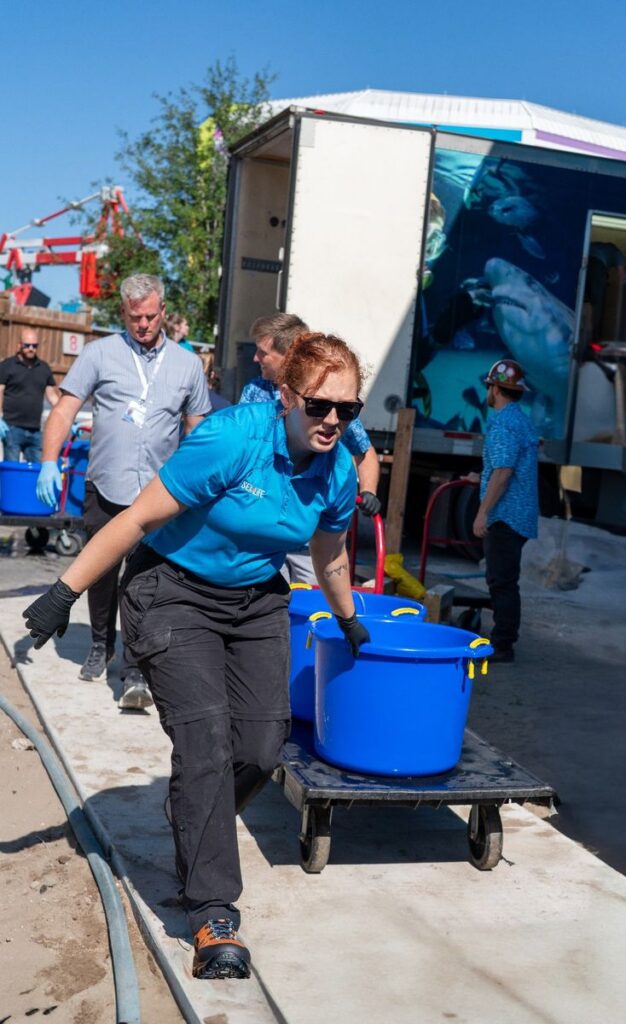 LEGOLAND® Florida: Sea Life