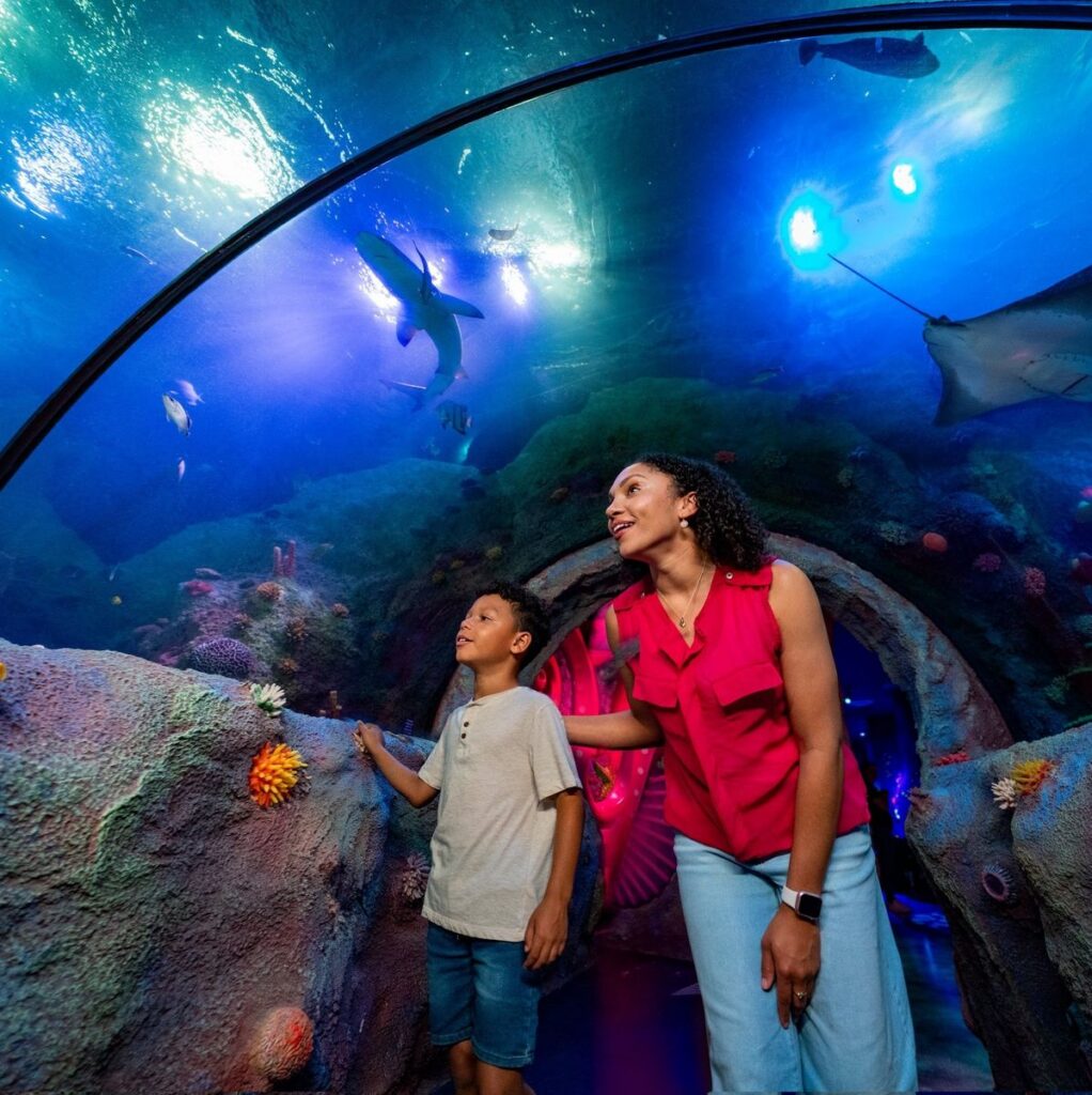 LEGOLAND® Florida: Sea Life