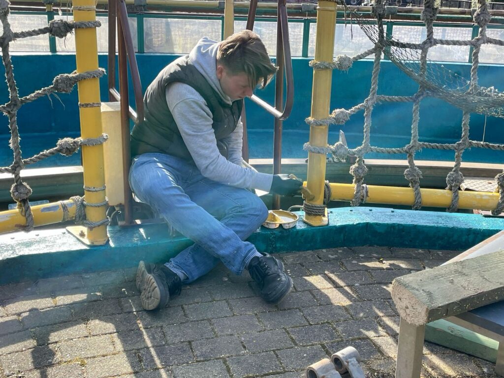 Safariland Stukenbrock: Crocodile Ride