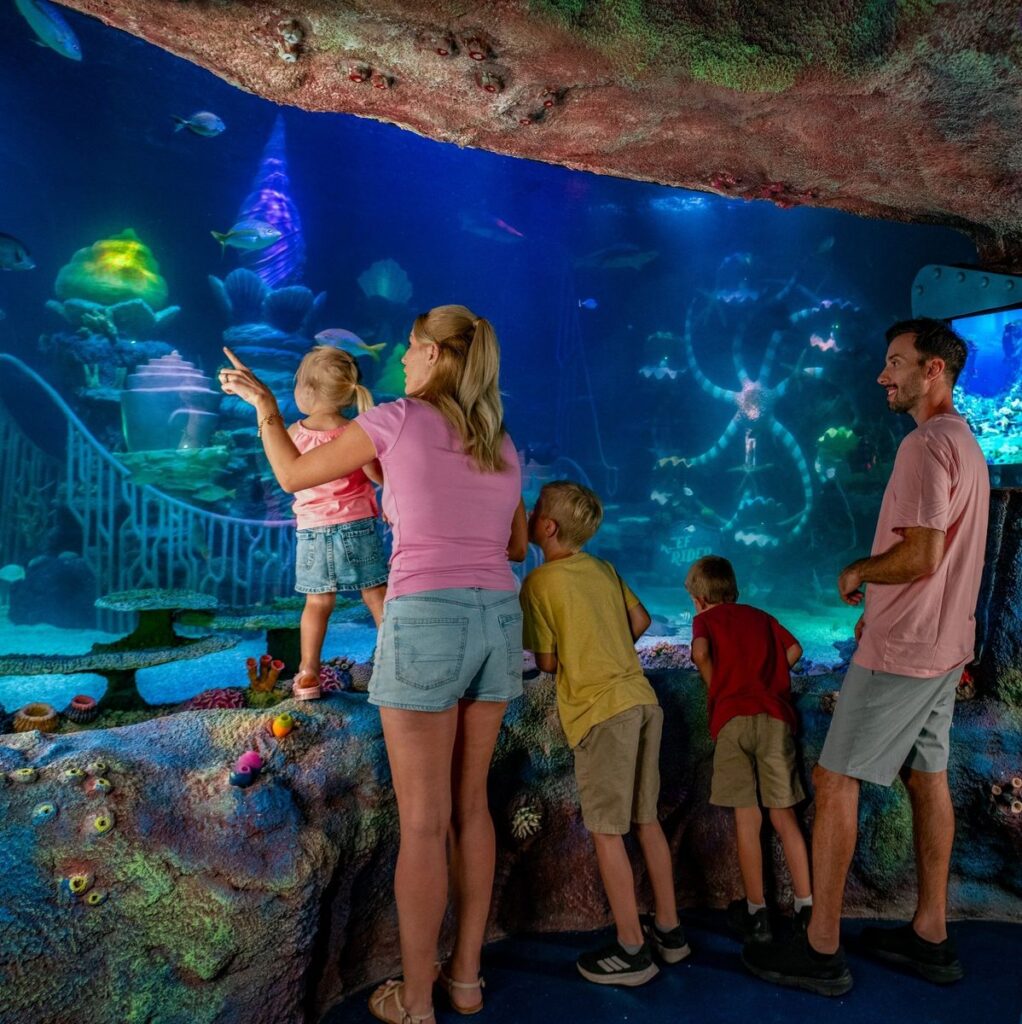 LEGOLAND® Florida: Sea Life