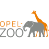 Opel-Zoo: Elefantenbaby