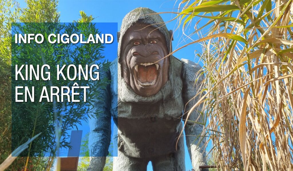 Cigoland: King Kong