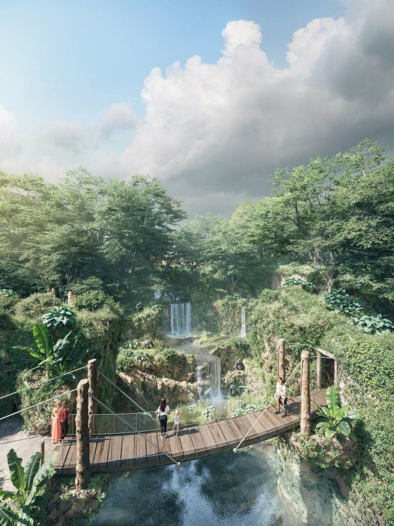 Zoo Zürich: Neuer Lebensraum für Gorillas