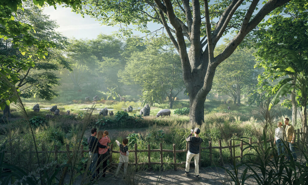 Zoo Zürich: Neuer Lebensraum für Gorillas