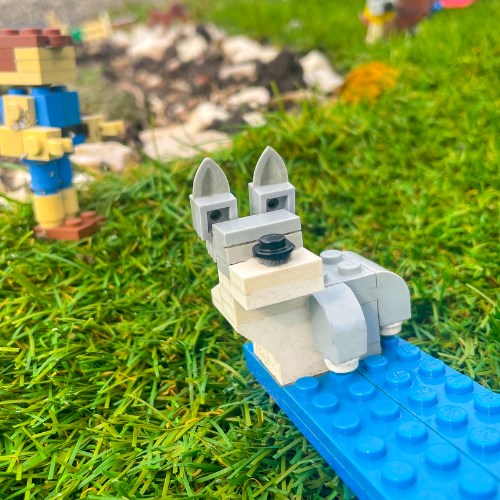 LEGOLAND® Deutschland: Hundebetreuung