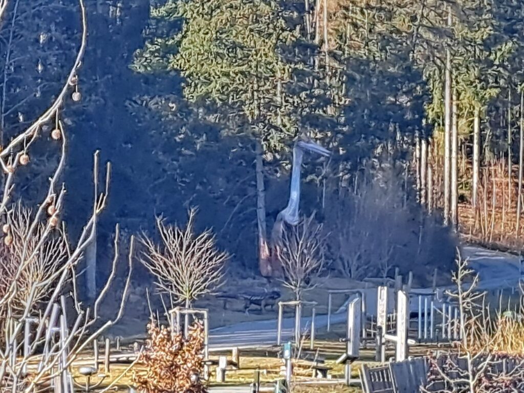 Edelwies: DInosaurier-Park