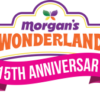 Morgan's Wonderland: Joy's Happy Swing
