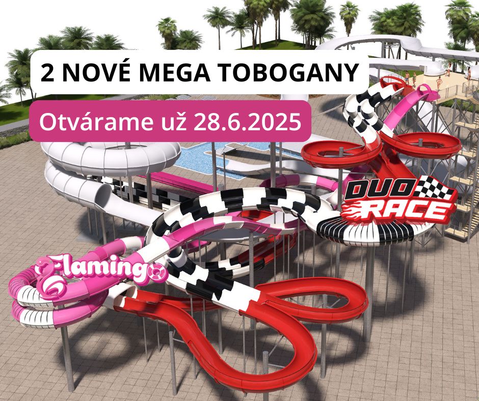 Tatralandia: Duo Race & Flamingo