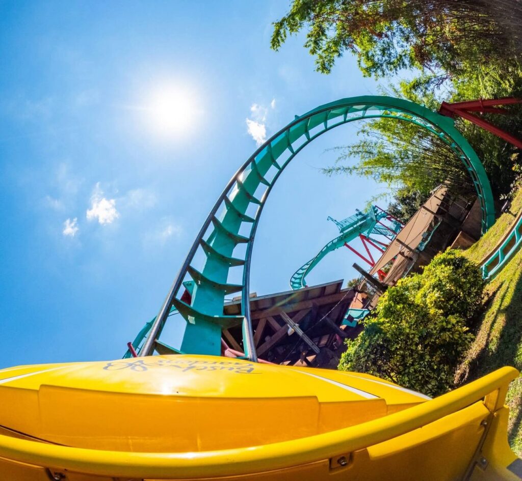 Busch Gardens Tampa Bay: Kumba