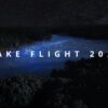 Dollywood: NightFlight Expedition