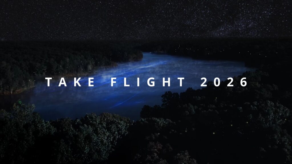 Dollywood: NightFlight Expedition