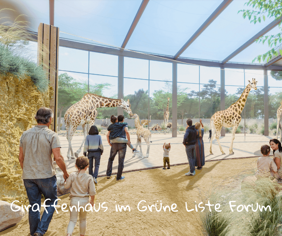 Zoo Schwerin: Zukunftspläne