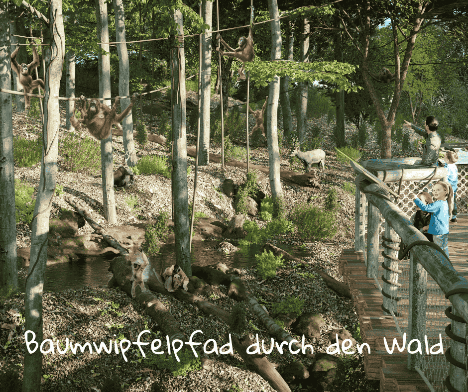 Zoo Schwerin: Zukunftspläne