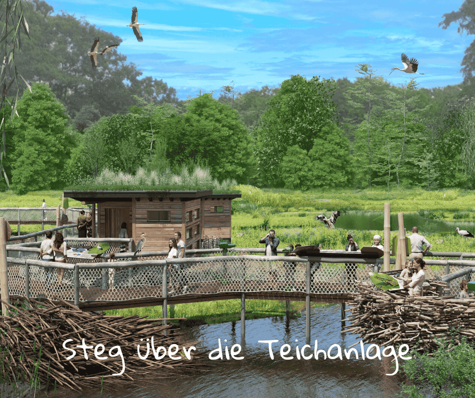 Zoo Schwerin: Zukunftspläne