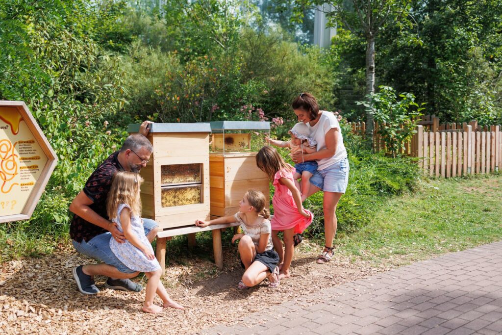 Playmobil-FunPark: Weltbienentag 2025