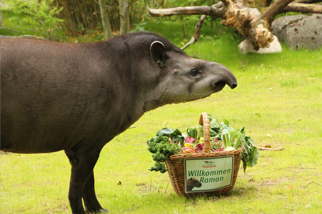 Tierpark Hagenbeck: Neue Gehege