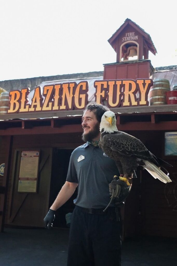 Dollywood: Blazing Fury