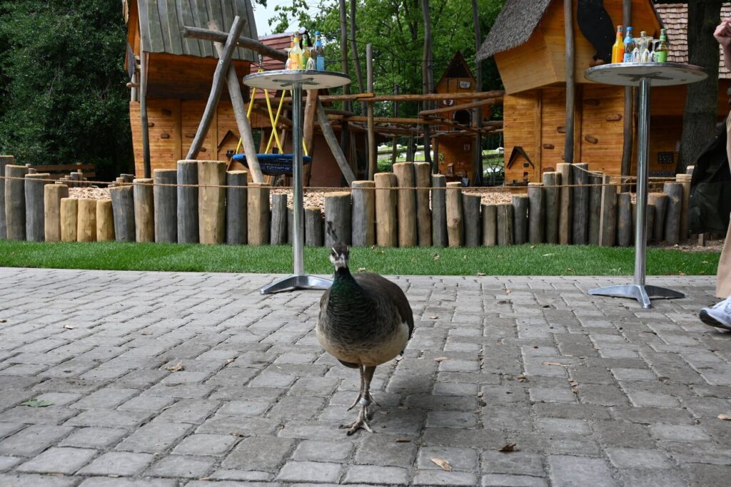 Zoo Schwerin: Neuer Erlebnisspielplatz