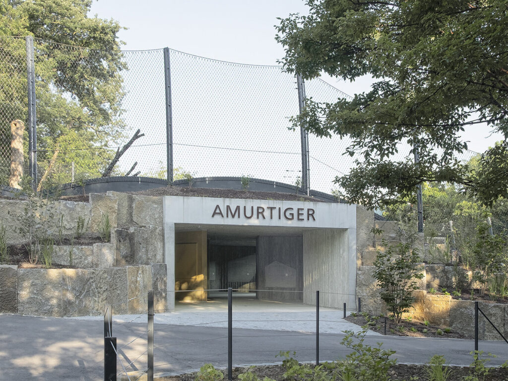 Wilhelma: Neue Anlage für Amur-Tiger