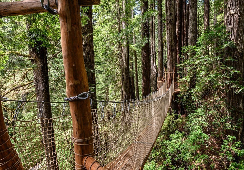 SimEx-Iwerks: Nature Attractions