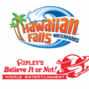 Hawaiian Falls Waterparks: Übernahme durch Ripley's