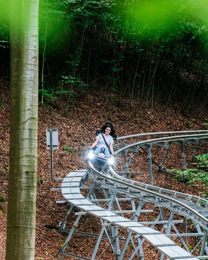 Forest Coaster: Neue Rodelbahn