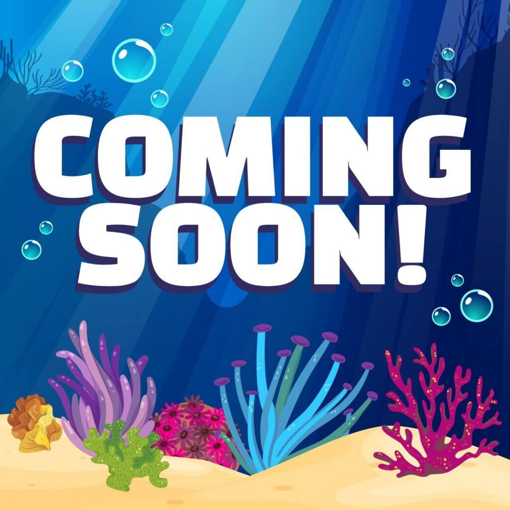 Seabreeze Amusement Park: Reef Runners