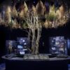 Übersee Museum Bremen: Sonderausstellung "Magie"