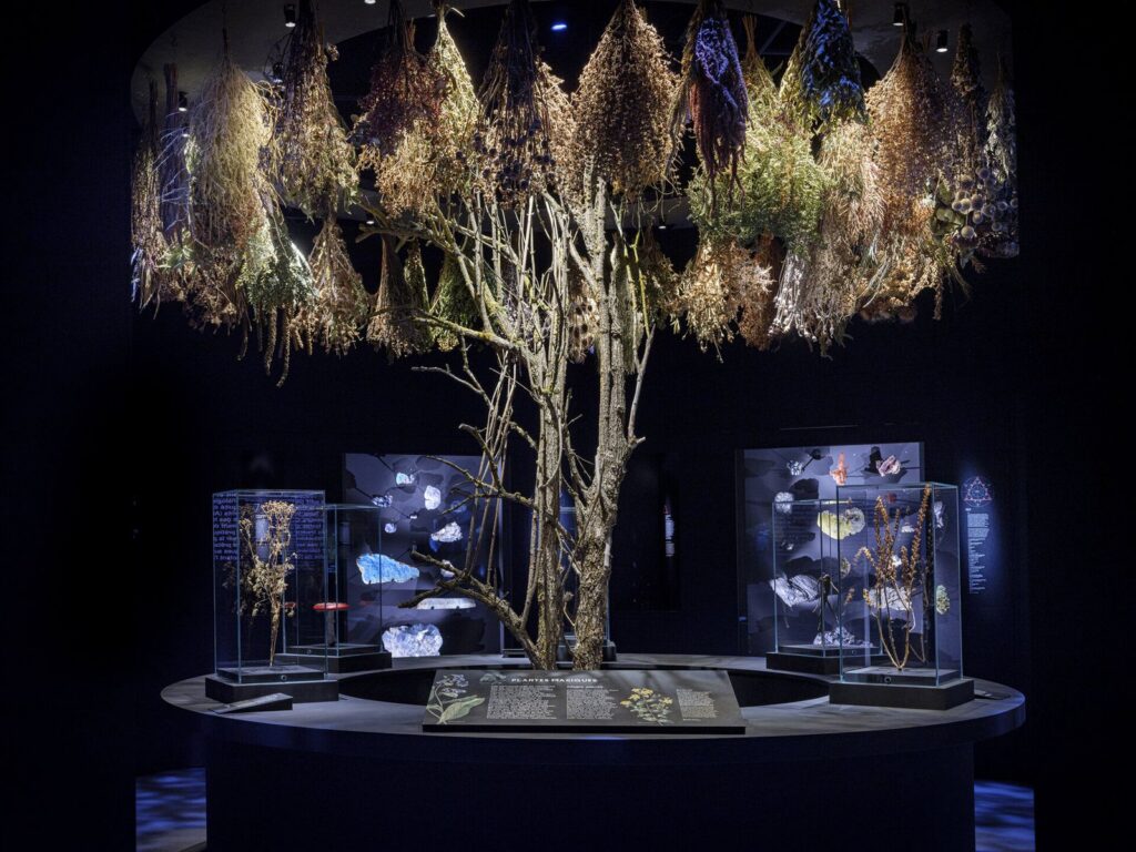 Übersee Museum Bremen: Sonderausstellung "Magie"