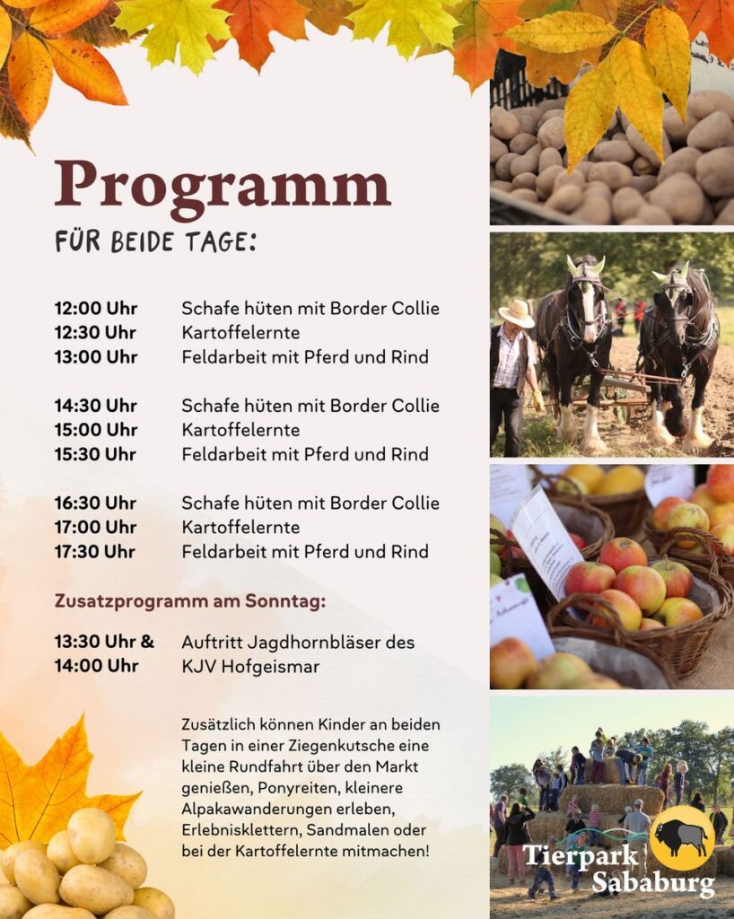 Tierpark Sababurg: Herbstmarkt