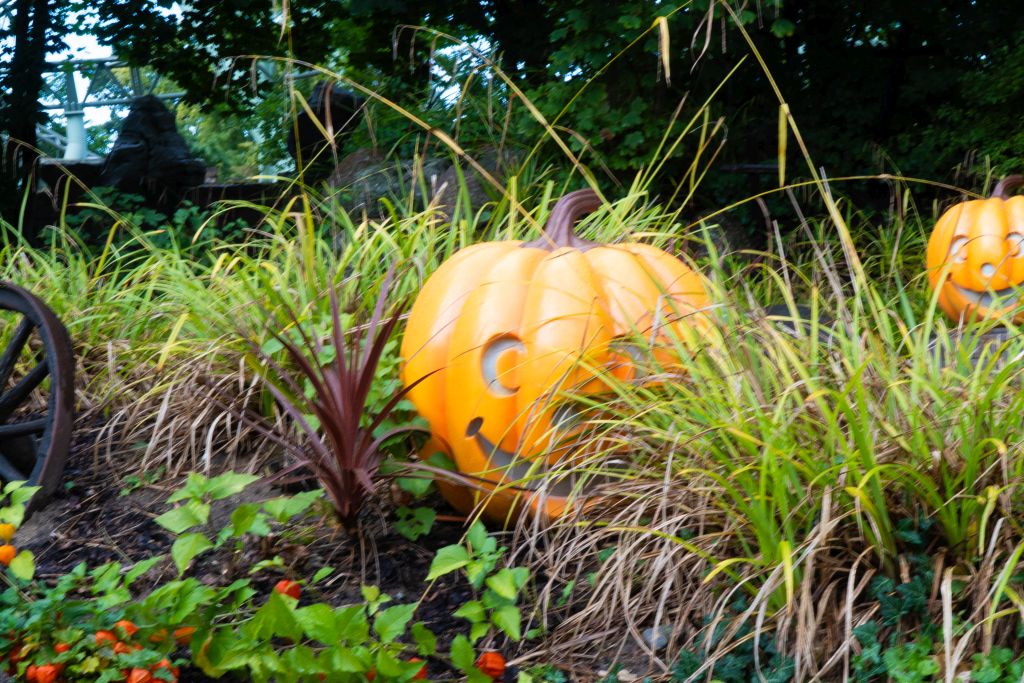 HANSA-Park: The Most Charming Harvest Celebration