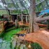 Zoo Leipzig: Terrarium