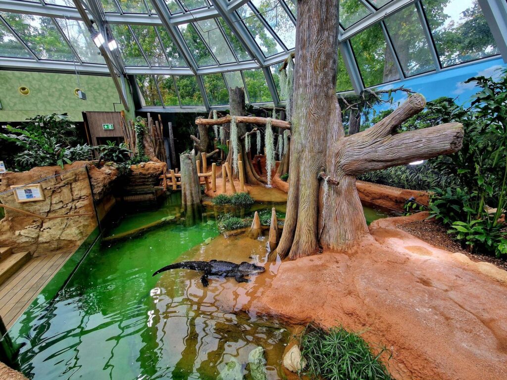 Zoo Leipzig: Terrarium