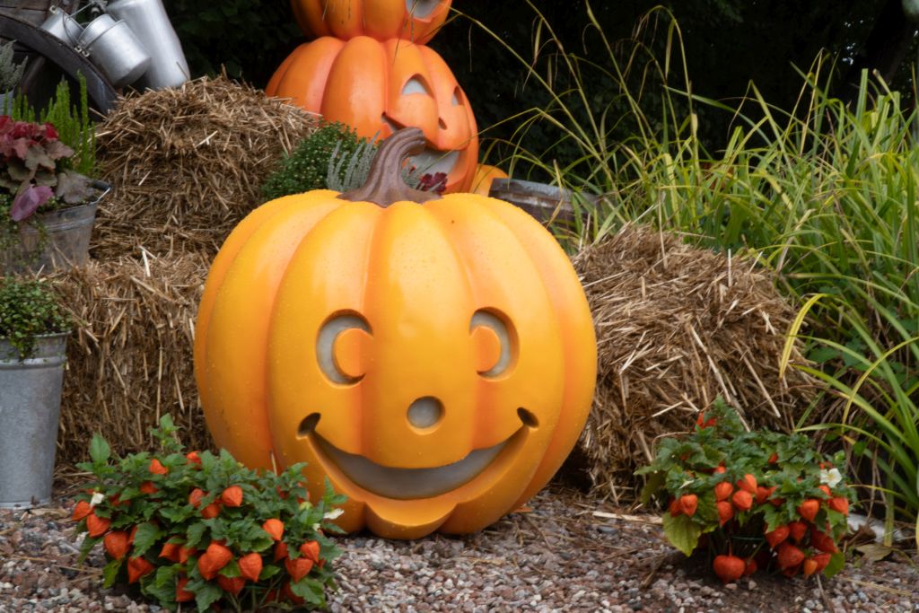 HANSA-Park: The Most Charming Harvest Celebration