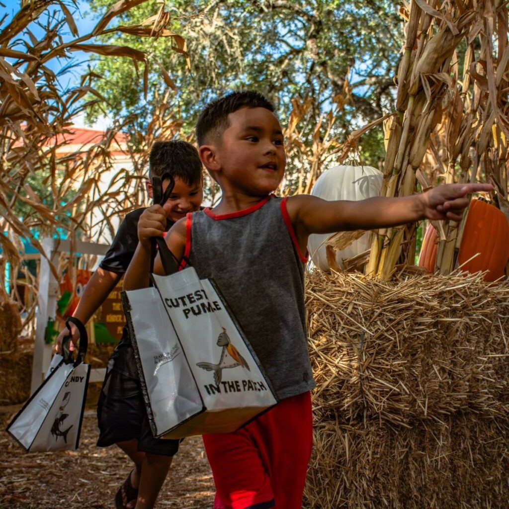 SeaWorld San Antonio: Howl-O-Scream