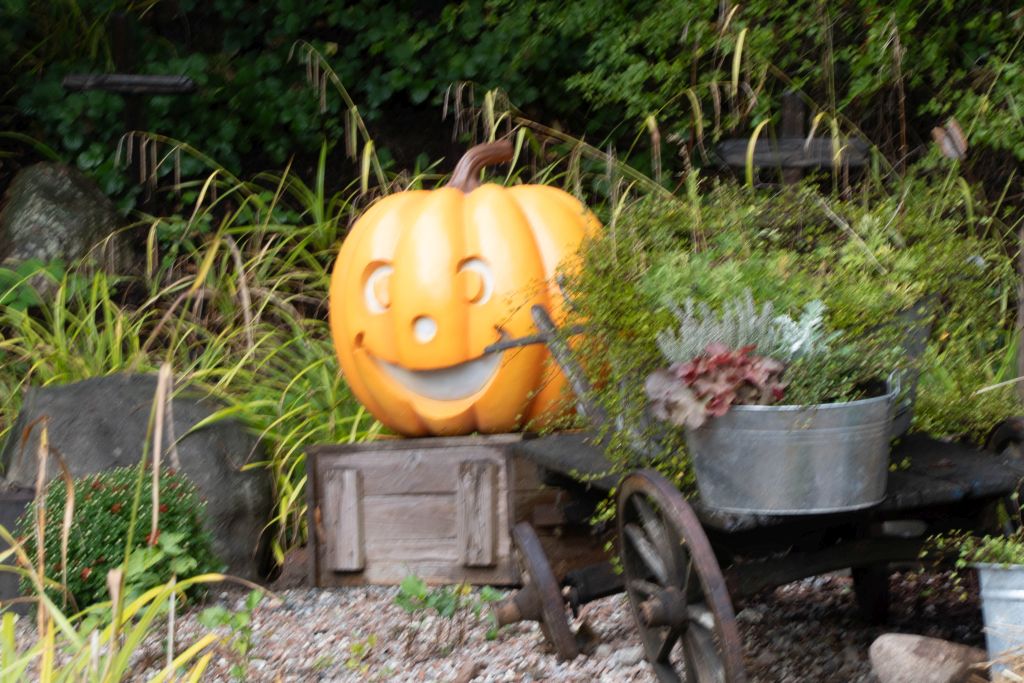 HANSA-Park: The Most Charming Harvest Celebration