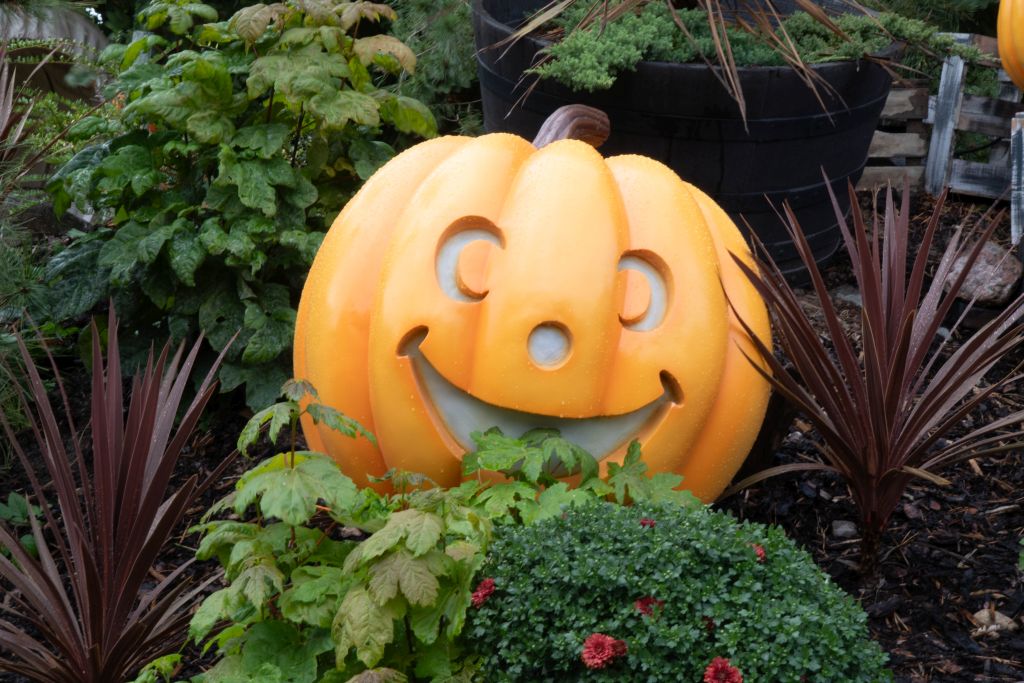 HANSA-Park: The Most Charming Harvest Celebration